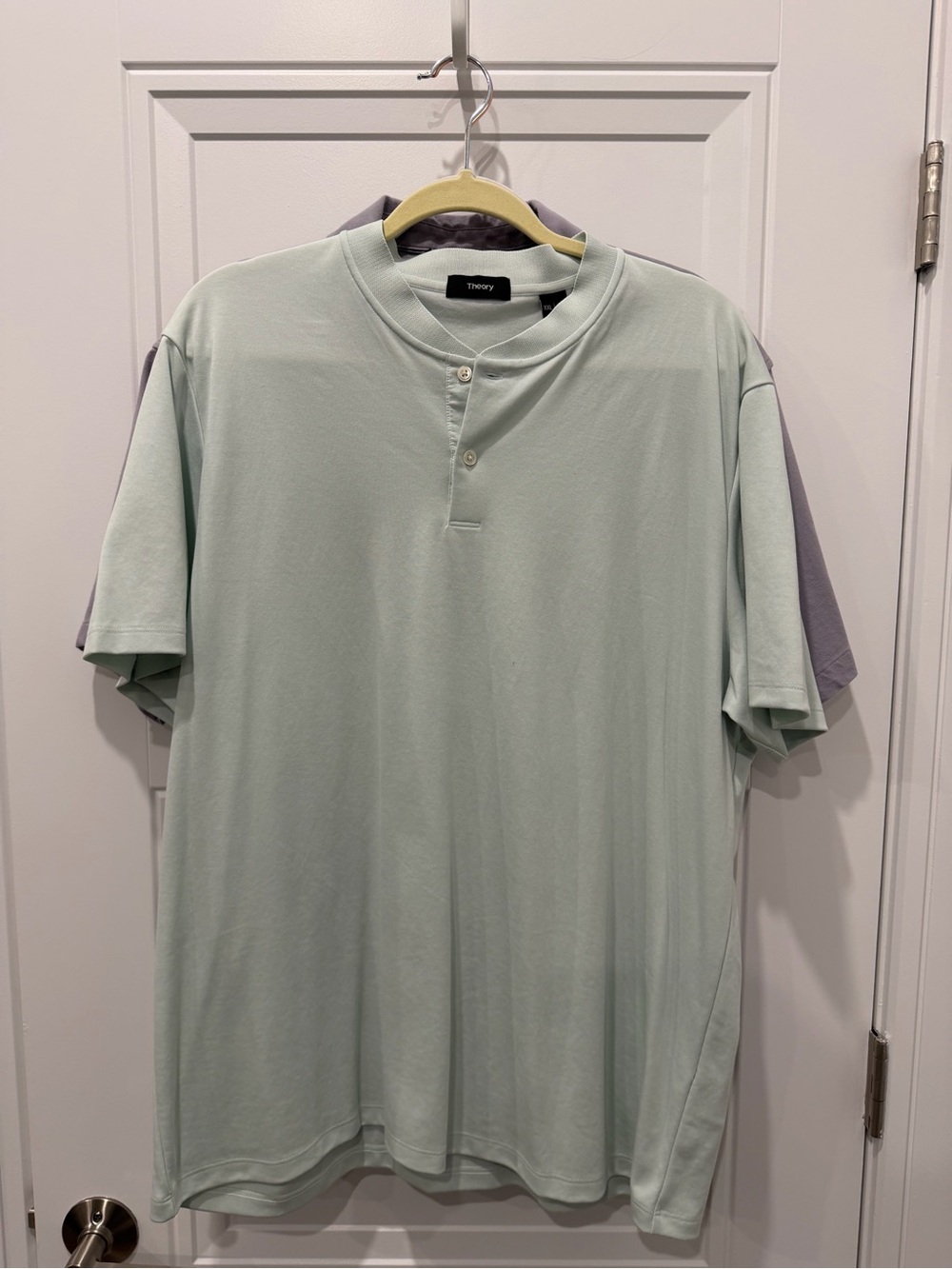 Theory Men's Pale Mint Henley Polo